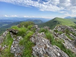 Erpin Geodesikodun Tontorra