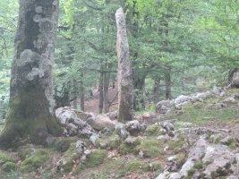 Menhir Baio Este  (Junio 2023)