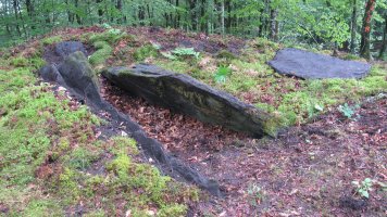 Argibel trikuharria, Donamaria