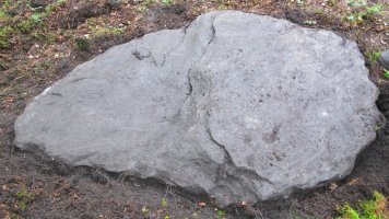 Argibel trikuharria, Donamaria