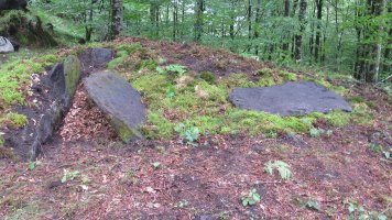 Argibel trikuharria, Donamaria