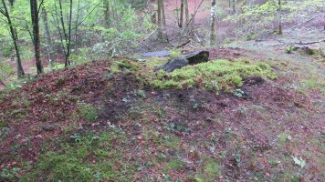 Argibel trikuharria, Donamaria