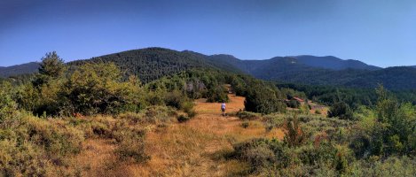 Antzinako larreak, orain sasiek hartuta