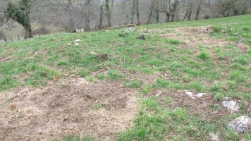 Andalorreko Borda 1 tumulua, Gartzain-Baztan