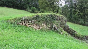 Albitz karobia, Arantza