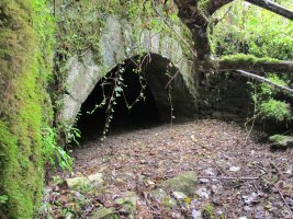 Beheko Errota, Arantza