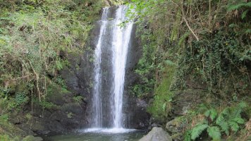 Putzubeltza Ur-jauzia, Arantza