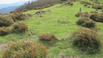 Beltzuntza harrespila, Goizueta