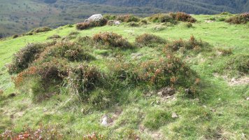 Beltzuntzako Harria harrespila, Goizueta