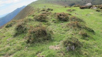 Beltzuntzako Harria harrespila, Goizueta