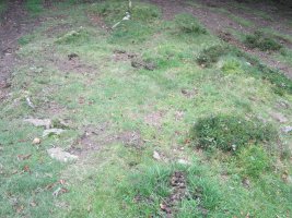 Cromlech Ibintza nº 5 ( 08-2014)