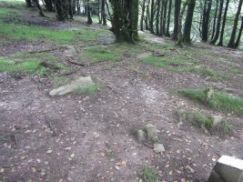 Cromlech Ibintza nº 4 ( 08-2014)