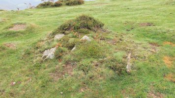 Mairubaratzeta zista, Sunbilla