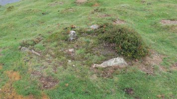 Mairubaratzeta zista, Sunbilla