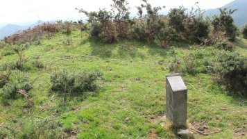 Artaleku trikuharria, Sunbilla