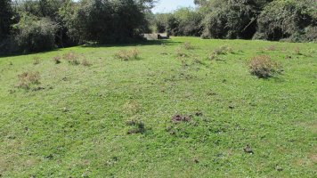 Iguzpegi 1 etxola hondoa, Andia