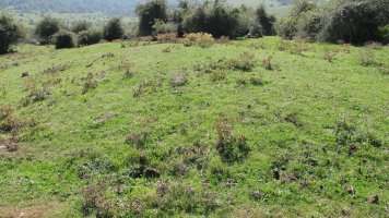 Iguzpegi 2 etxola hondoa, Andia