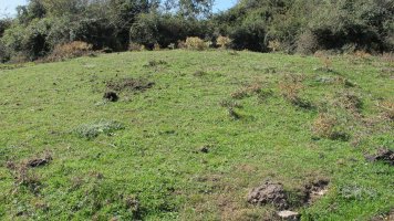 Iguzpegi 2 etxola hondoa, Andia