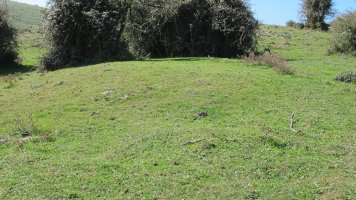 Iguzpegi 3 etxola hondoa, Andia