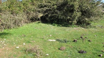 Soosa 16 etxola hondoa, Andia