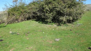 Soosa 16 etxola hondoa, Andia