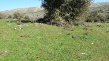 Soosa 13 etxola hondoa, Andia