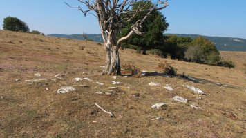 Mirueta 2 exola hondoa, Andia