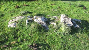 Eztañiturri zista edo hilobi 1, Andia