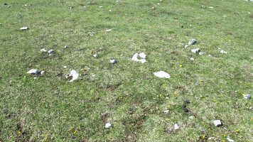 Balsa Fria 3 tumulua, Andia