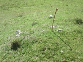 Túmulo Zuriza (09-2023)