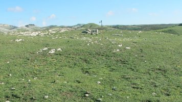 Erlotxiki 2 eraztun tumulua, Andia