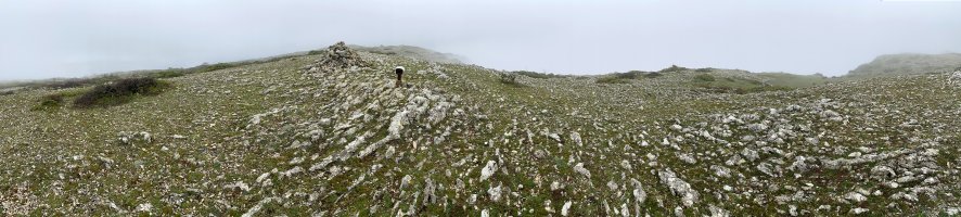 Mendebaldeko Tontorra