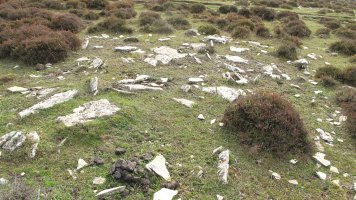 El Robo 10 tumulua, Andia