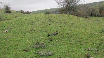 Poken tumulua, Andia