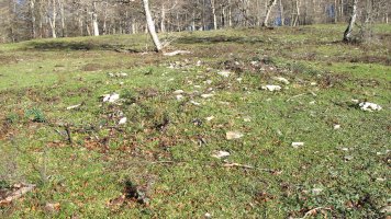 Bagaritxa 6 tumulua, Goñi