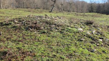 Bagaritxa 8 tumulua, Goñi