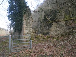 Etxe baten aurriak Bidasoa bazterrean