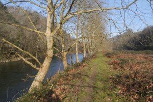 Bidasoa ibaiaren bazterretik egiten du bideak aurrera tarte batean