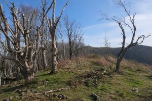 Faalegi gailurraren mendebaldeko tontorra