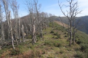 Faalegi gailurra, bi tontorren arteko pasartea