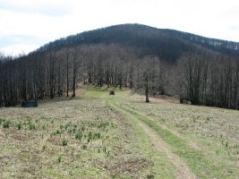 Unboto iparraldeko lepotik