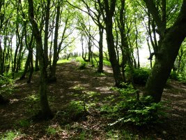 Bustuko Gana, pagadia tontorraren iparraldeko hegian