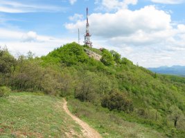 Zaldiaran tontorra mendebaldeko bizkarretik