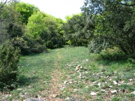 Arrieta, ekialdeko bidearen pasarte bat