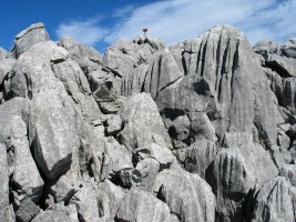 Betzuenburu tontorra