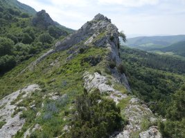 Allegain tontorra, gandorraren ertzean dagoena, IMtik ikusita