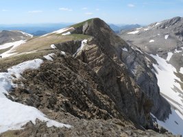 Quimboa Petraficha aldetik ikusita