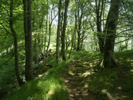 Atagintxa, Soiltxiki eta Sollaundi arteko lepoa