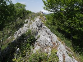 Soiltxiki tontorra ekialdetik