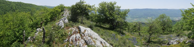 Soiltxiki tontorra mendebaldetik